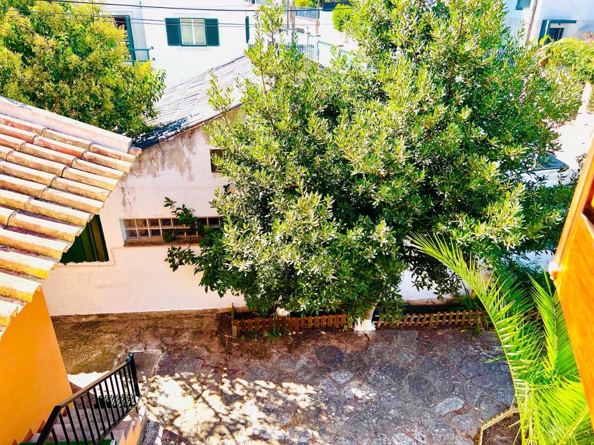 Estoril Seaside Guest House المظهر الخارجي الصورة