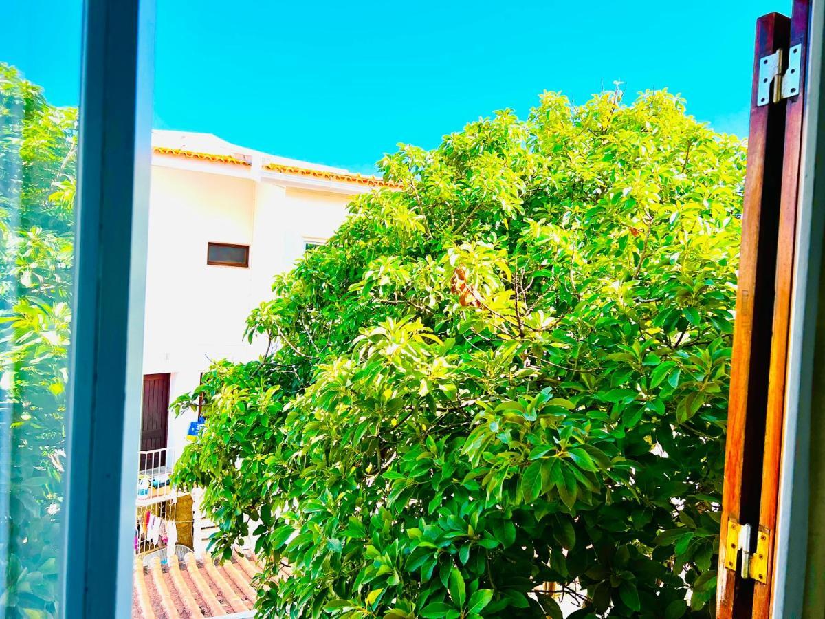 Estoril Seaside Guest House المظهر الخارجي الصورة